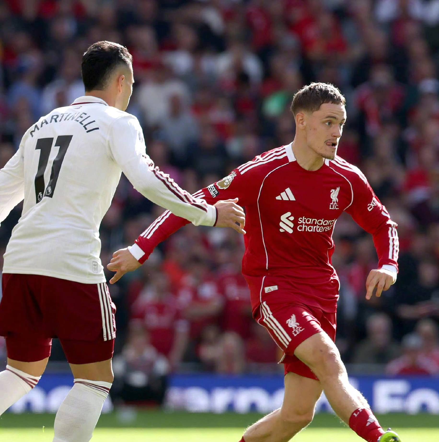 江苏苏宁本 江苏苏宁本