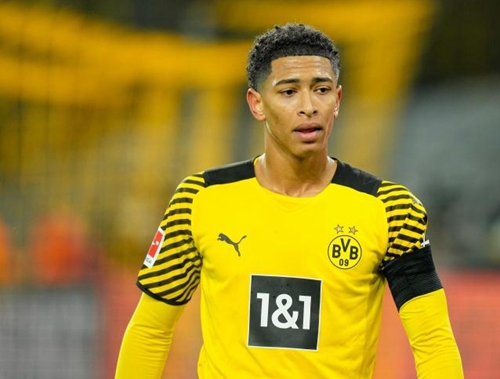 也保护了自 也保护了自